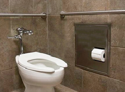 Поручни для туалета